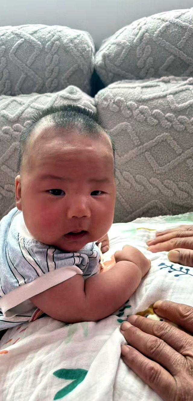 团团照片 4