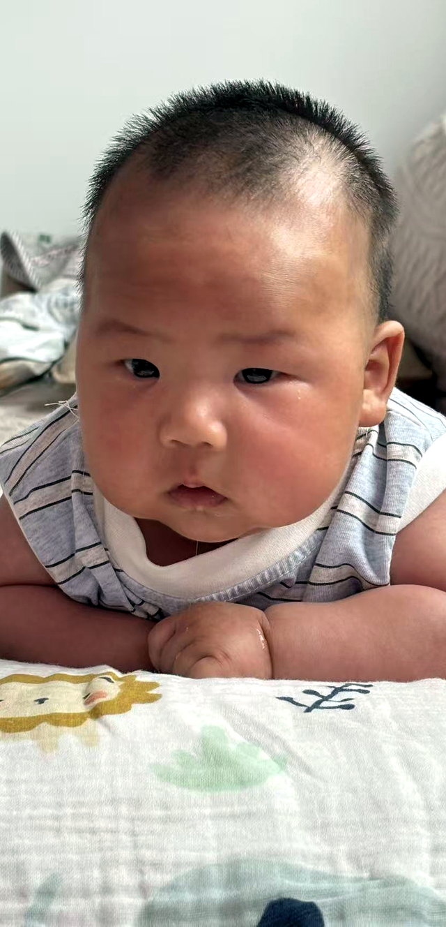 团团照片 10