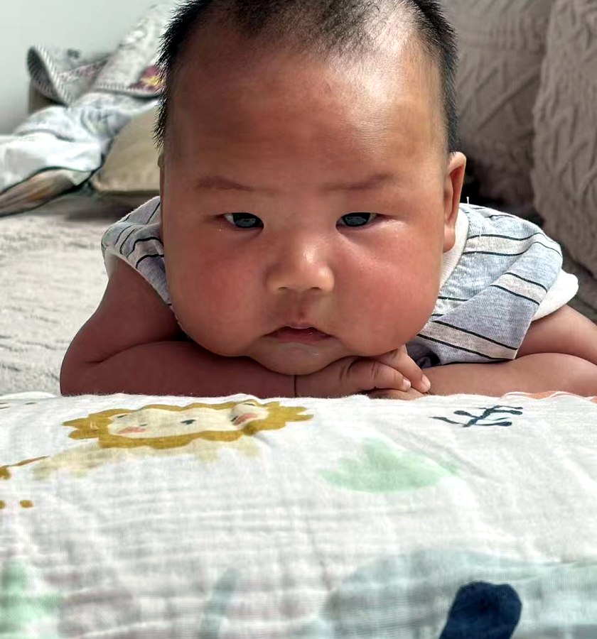 趴趴练习的小侦察员